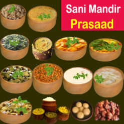 sani-prasad.