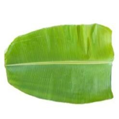 Kadali Patra / Banana Leaf